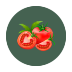 Tomato