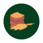 Barley